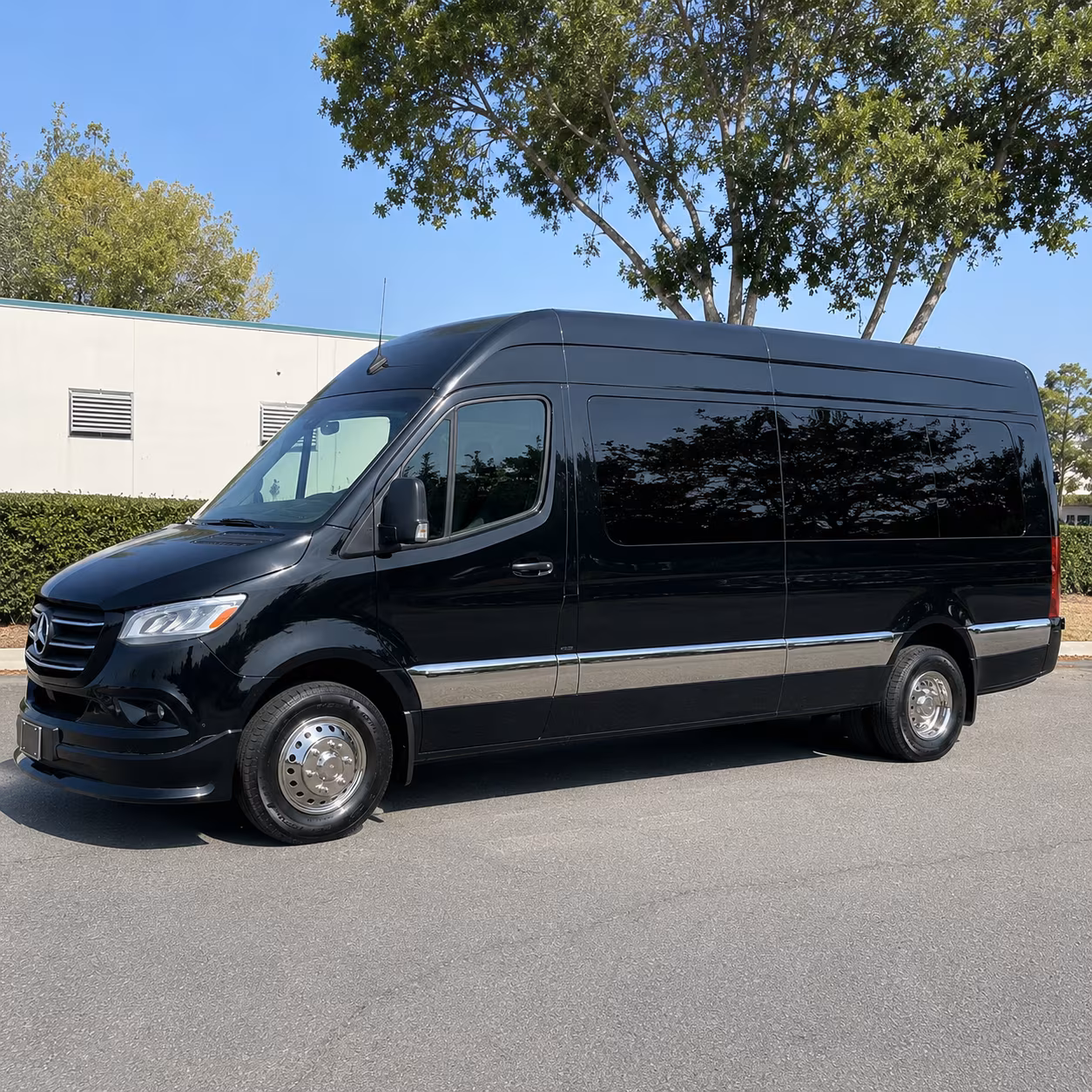 reserve transportation for your next wedding 3